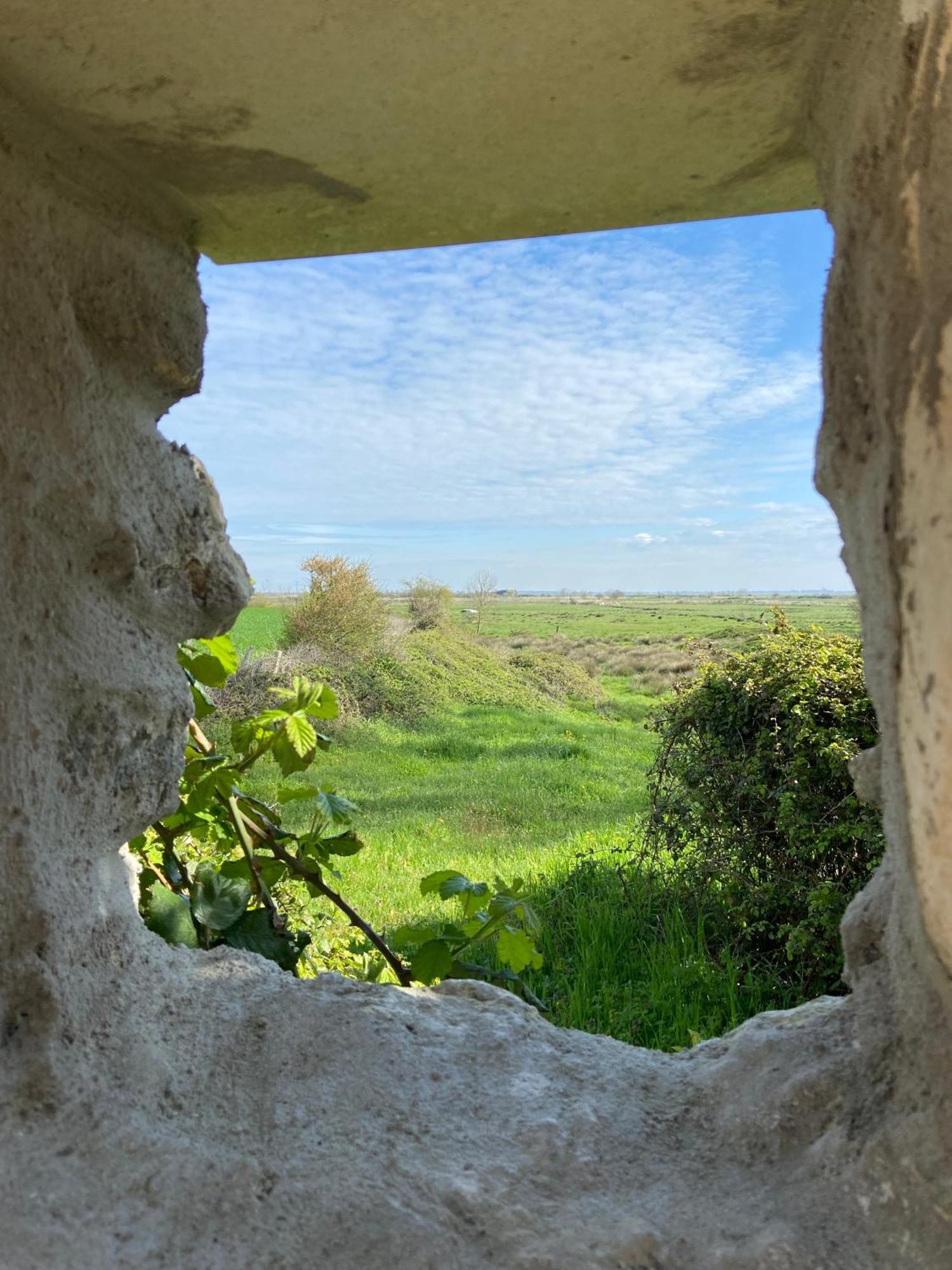 Chateau De Feusse Saint-Just-Luzac Εξωτερικό φωτογραφία