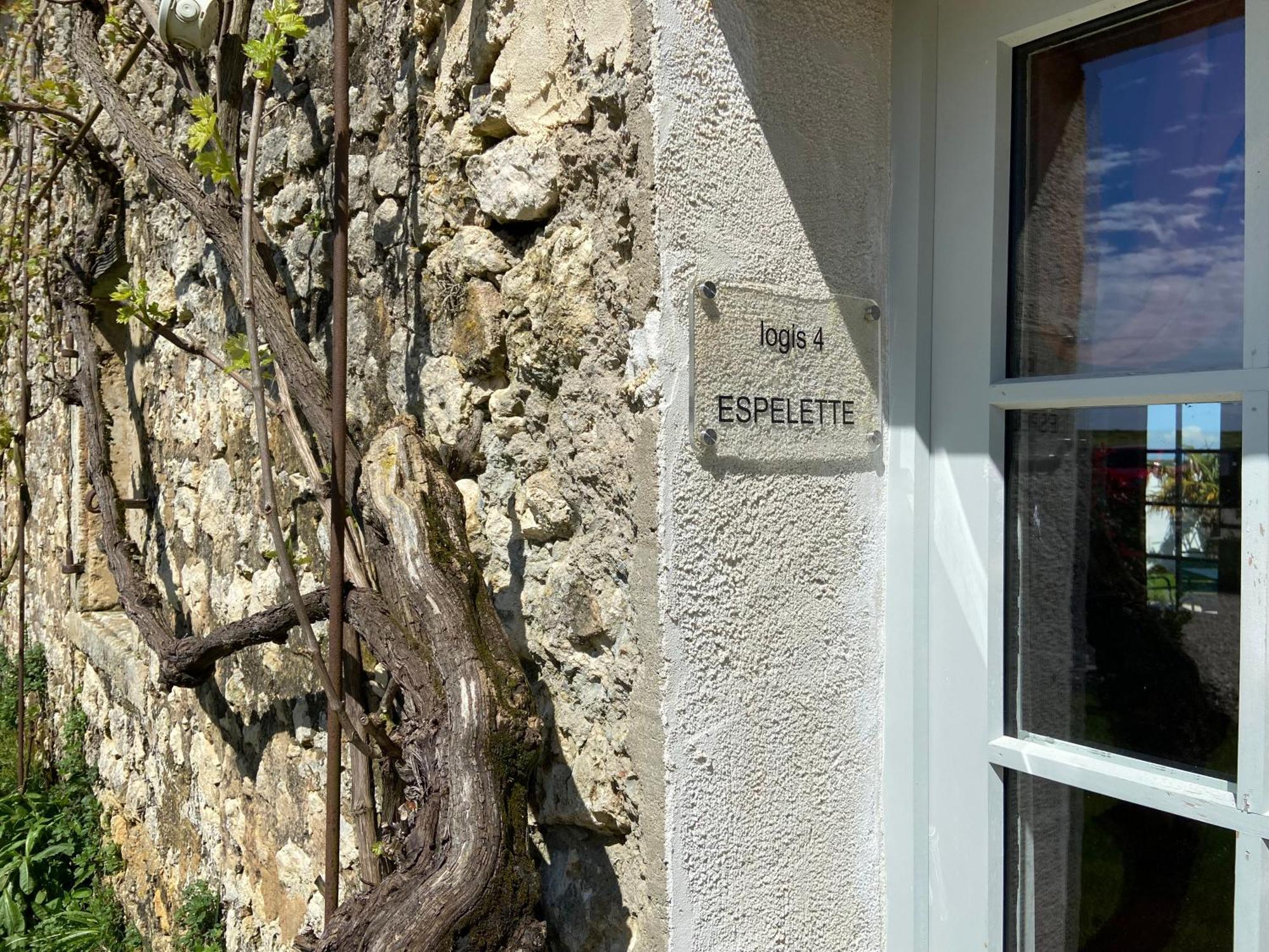 Chateau De Feusse Saint-Just-Luzac Εξωτερικό φωτογραφία
